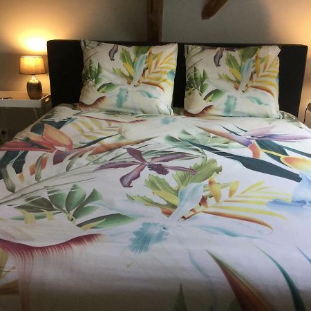 Bed and Breakfast De Hocht Nes  Zewnętrze zdjęcie