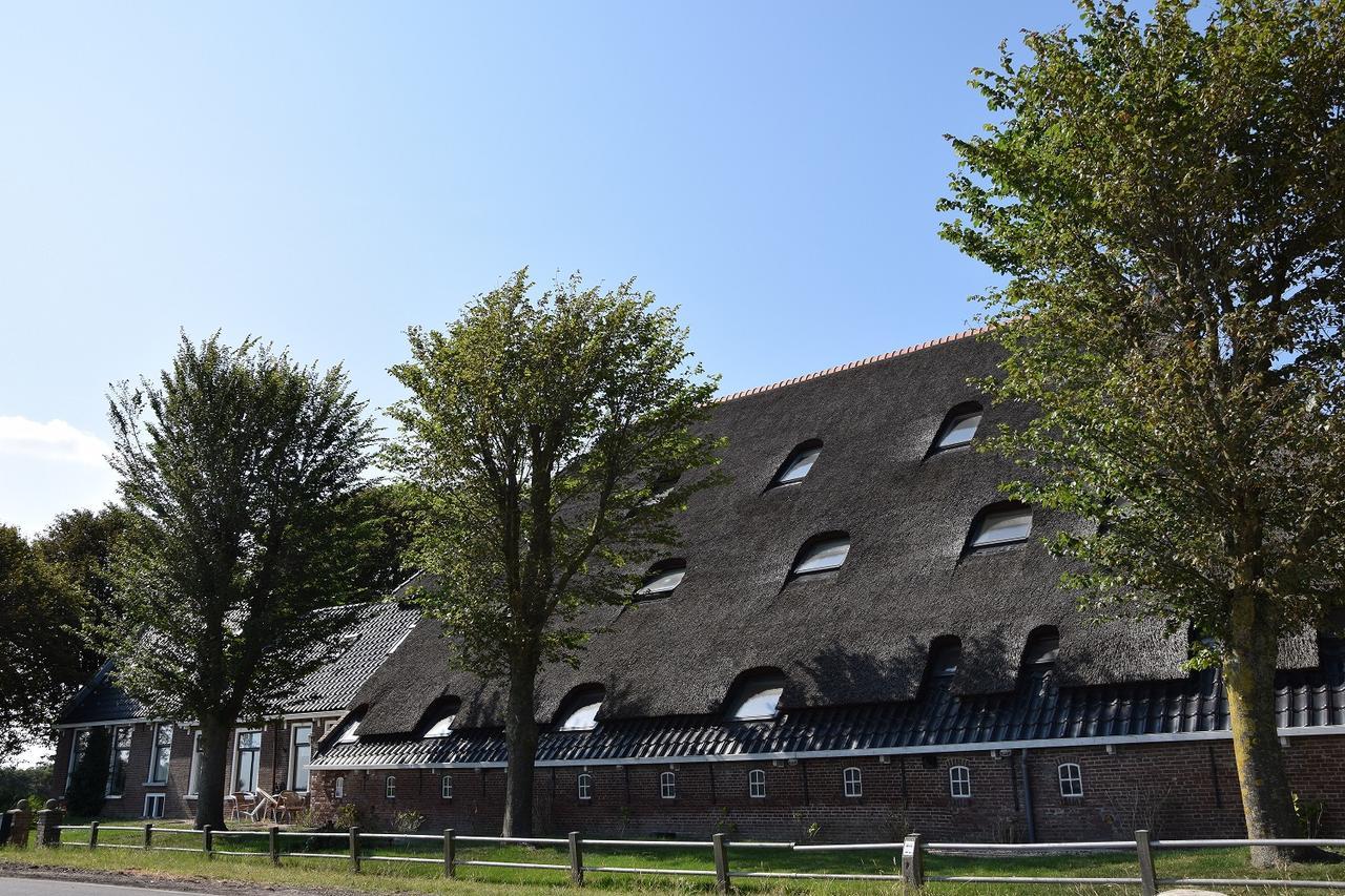 Bed and Breakfast De Hocht Nes  Zewnętrze zdjęcie
